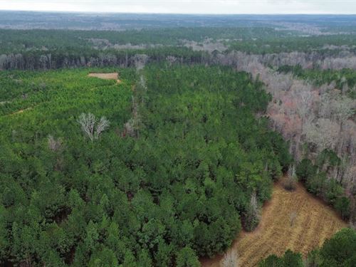20 Acres Chambers County : Roanoke : Chambers County : Alabama