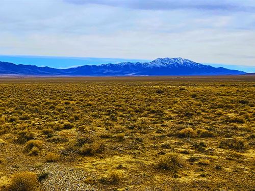 1.63 Acres Elko NV Desert Land : Elko : Nevada