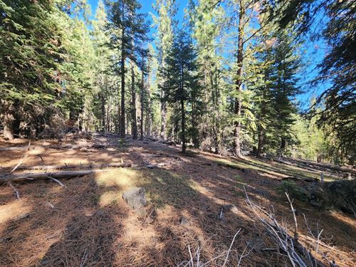 Beautiful Mountain Land in Alturas : Alturas : Modoc County : California