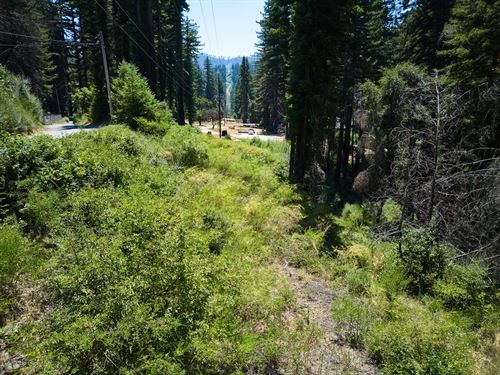 Recreational Land in Boulder Creek : Boulder Creek : Santa Cruz County : California