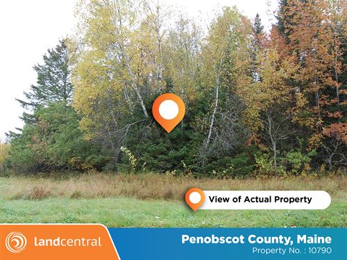 Private Land Near Lowell Lake : Penobscot : Maine