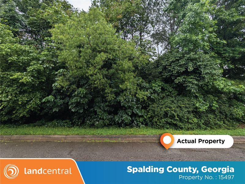 Beautiful Large Lot in Georgia : Griffin : Spalding County : Georgia