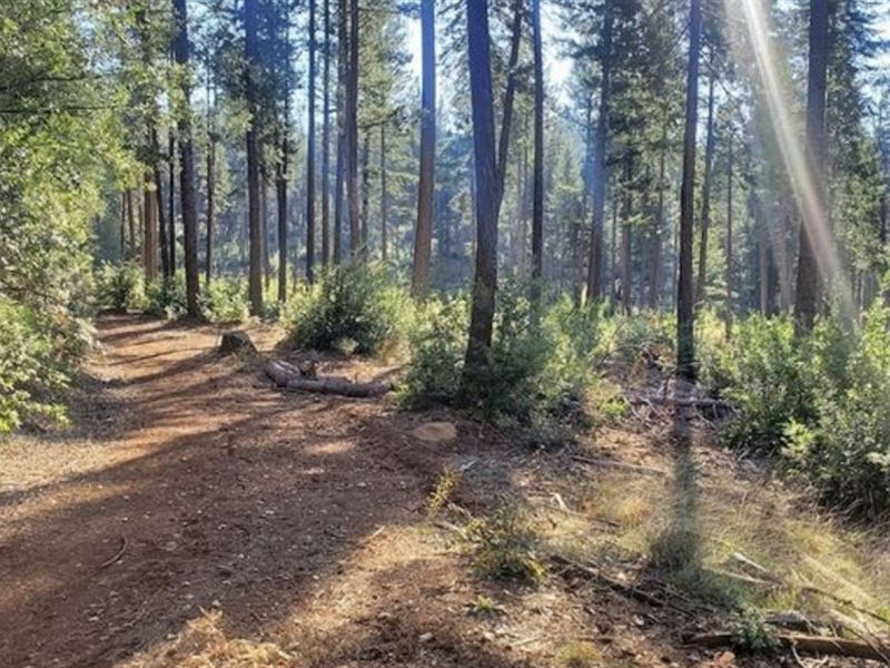Prime Residential Lot in Magalia : Magalia : Butte County : California