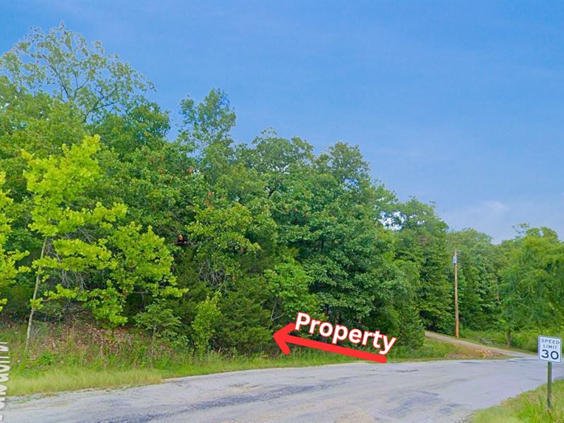 .45 Acre Lot, Utilities and Road : Cherokee Village : Sharp County : Arkansas