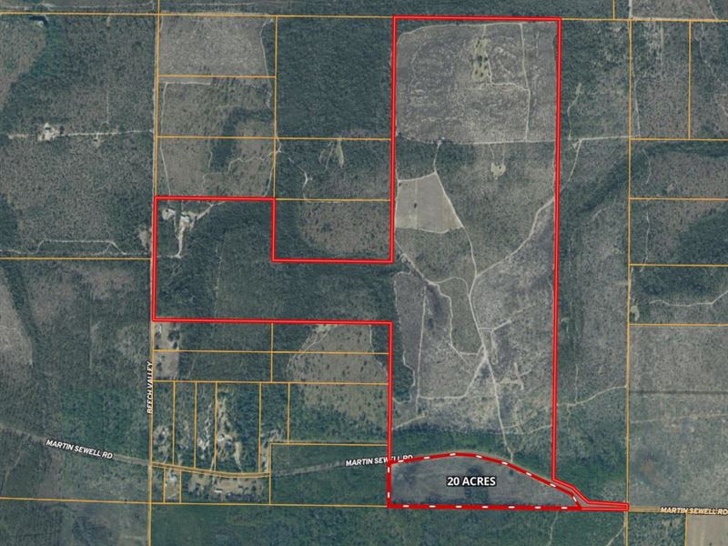 20 Acres in Altha,Fl, AG Zoned : Altha : Calhoun County : Florida