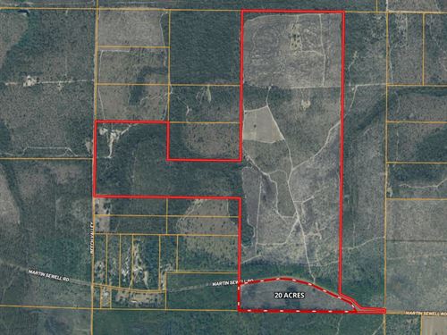 20 Acres in Altha,Fl, AG Zoned : Altha : Calhoun County : Florida