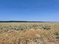 Your Oregon Retreat Awaits : Chiloquin : Klamath County : Oregon