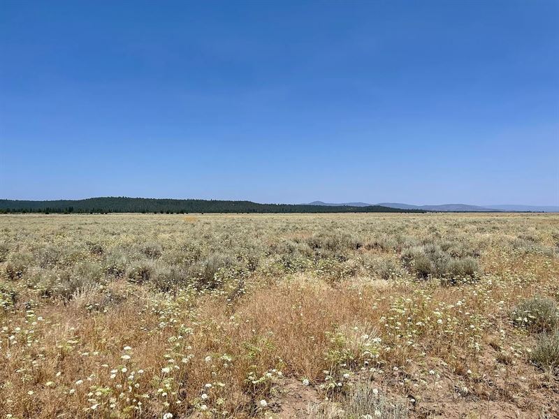 Your Oregon Retreat Awaits : Chiloquin : Klamath County : Oregon