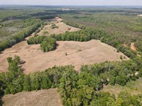 Deer and Duck Hunting Land, View : Morris Chapel : Hardin County : Tennessee