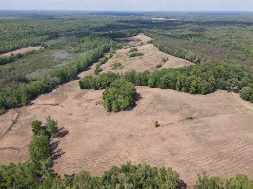 Deer and Duck Hunting Land, View : Morris Chapel : Hardin County : Tennessee