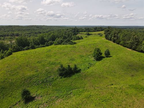 Deer and Duck Hunting Land, View : Morris Chapel : Hardin County : Tennessee