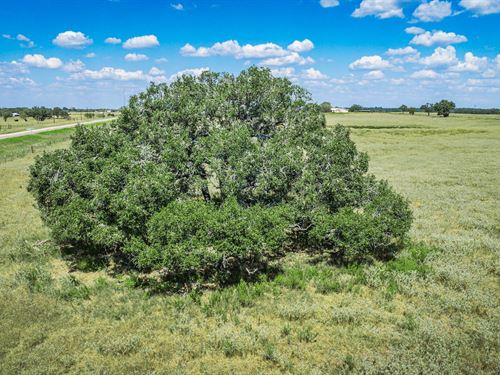 2.1 Acres in Caldwell County, TX : Rosanky : Caldwell County : Texas