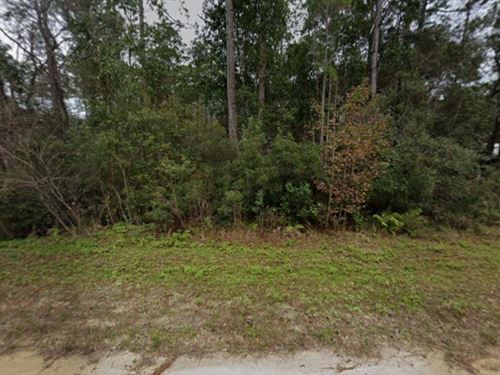 Build Your Future in FL $195/Mo : Interlachen : Putnam County : Florida