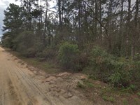 Outdoor Escape FL Lot $195/Mo : Interlachen : Putnam County : Florida