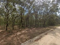 Campsite Lot Near Lakes $200/Mo : Interlachen : Putnam County : Florida