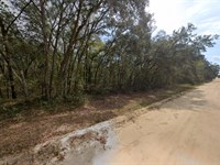 Mobile Home Lot $200/Mo FL : Interlachen : Putnam County : Florida