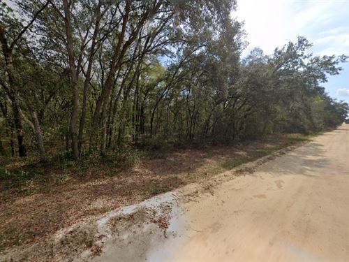 Mobile Home Lot $200/Mo FL : Interlachen : Putnam County : Florida