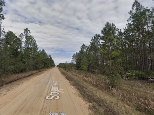 Double Lot, Super Remote : Interlachen : Putnam County : Florida