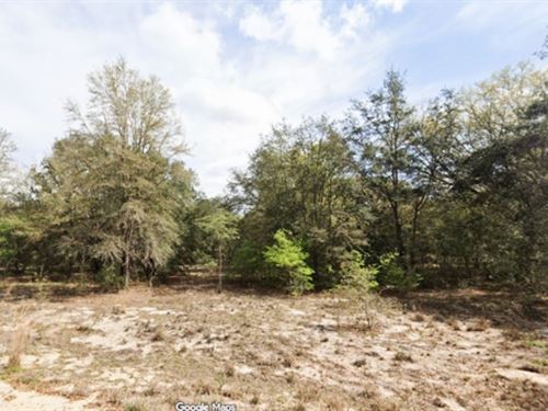 Partially Cleared, 3 Mins to Lake : Interlachen : Putnam County : Florida