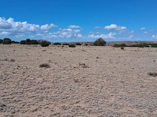 Own Desert Off-Grid Lot with View : Concho : Apache County : Arizona