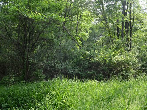 1.3+/- Acre Lot in Bethlehem : Bethlehem : Albany County : New York