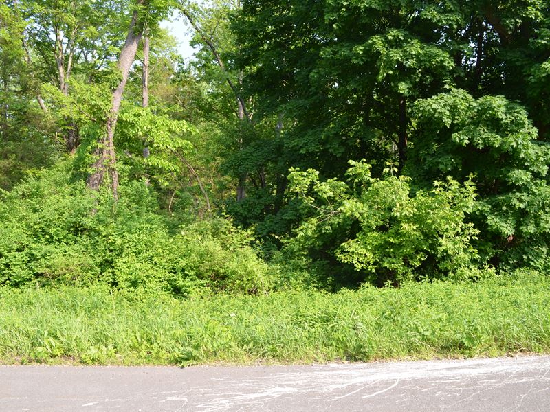 Just Under a Half Acre Duplex Lot : Bethlehem : Albany County : New York