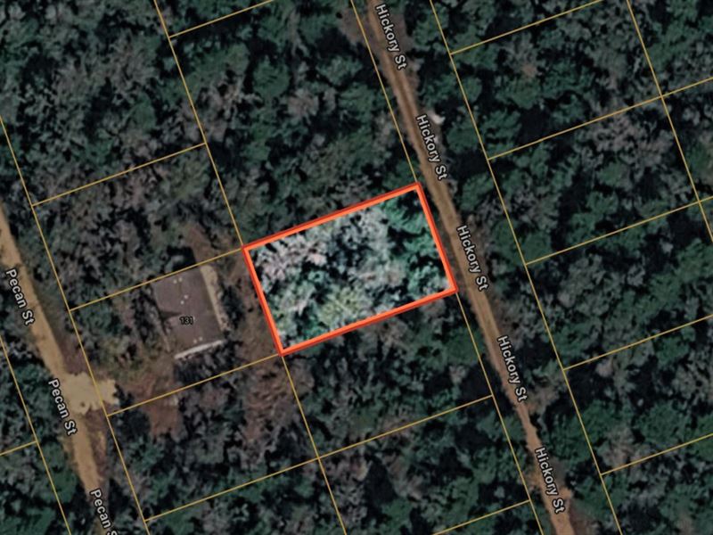 .28 Acres in Paige, TX : Paige : Bastrop County : Texas