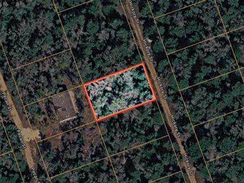 .28 Acres in Paige, TX : Paige : Bastrop County : Texas