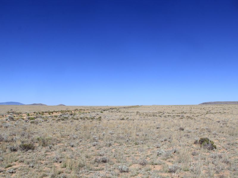 5 Acres CO $165/Mo Owner Fin : San Luis : Costilla County : Colorado