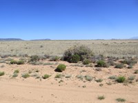 Build, Homestead or Camp $165/Mo : San Luis : Costilla County : Colorado