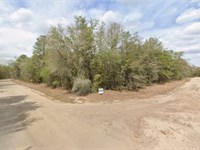 Buildable FL Lot w Power $195/Mo : Interlachen : Putnam County : Florida