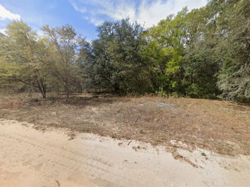 Mobile-Home Ready Lot $195/Mo : Interlachen : Putnam County : Florida