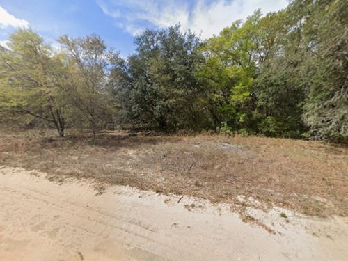 Mobile-Home Ready Lot $195/Mo : Interlachen : Putnam County : Florida