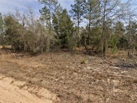Lake Fishing Retreat FL $195/Mo : Interlachen : Putnam County : Florida