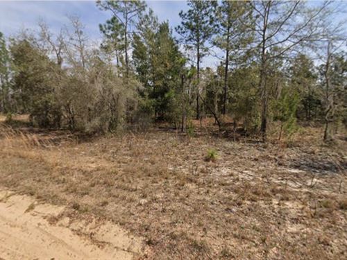 Lake Fishing Retreat FL $195/Mo : Interlachen : Putnam County : Florida