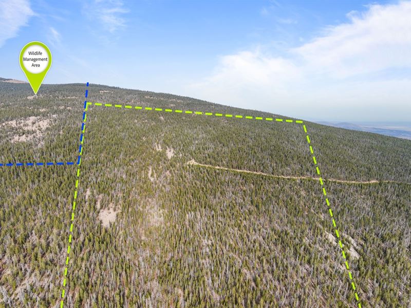 Off-Grid Haven : Anaconda : Deer Lodge County : Montana