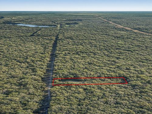 .29 Acre Riverfront Getaway Texas : Cleveland : Liberty County : Texas