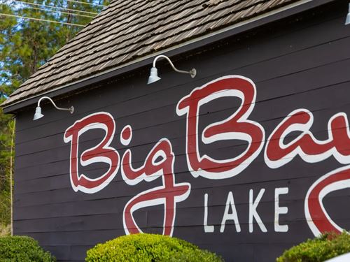 .47 Acre Lot on Big Bay Lake in LA : Lumberton : Lamar County : Mississippi