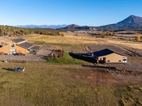 Crawford Colorado Mountain Horse pr : Crawford : Montrose County : Colorado