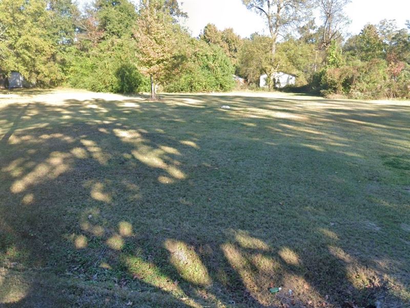 Cleared Tiny House Lot in Jackson : Jackson : Hinds County : Mississippi