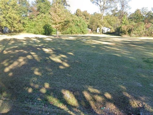Cleared Tiny House Lot in Jackson : Jackson : Hinds County : Mississippi