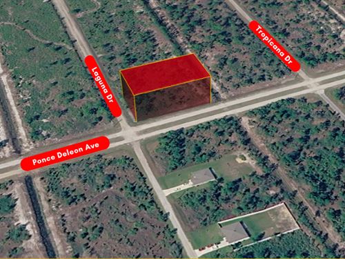 High-Potential Land Investmen : Indian Lake Estates : Polk County : Florida
