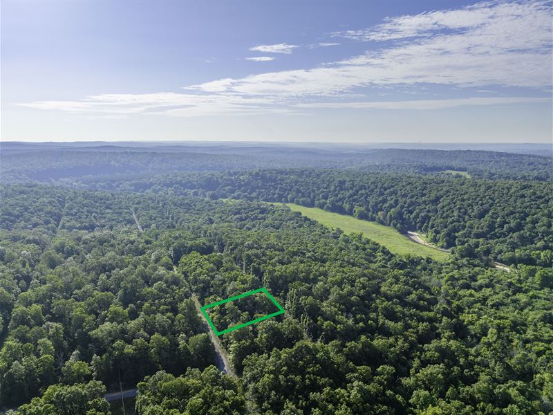 Fisherman's Paradise : Horseshoe Bend : Izard County : Arkansas