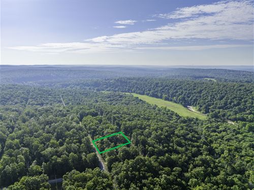 Fisherman's Paradise : Horseshoe Bend : Izard County : Arkansas