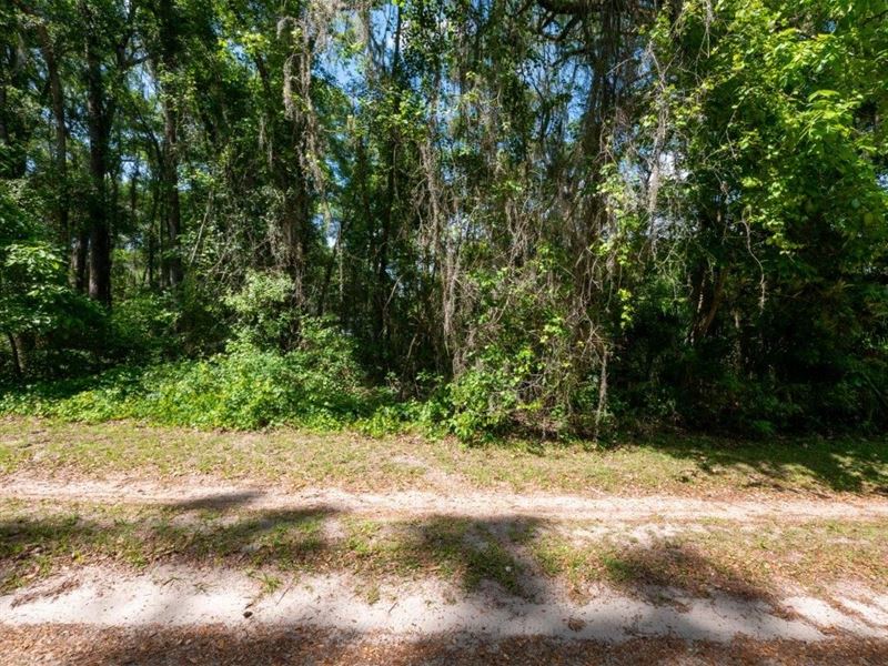 Escape The Hustle and Bustle : Citra : Marion County : Florida