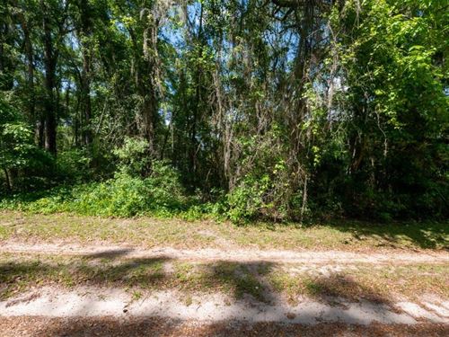 Escape The Hustle and Bustle : Citra : Marion County : Florida
