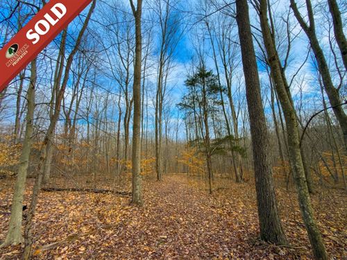Long Fork Rd, 10 Acres : Piketon : Pike County : Ohio