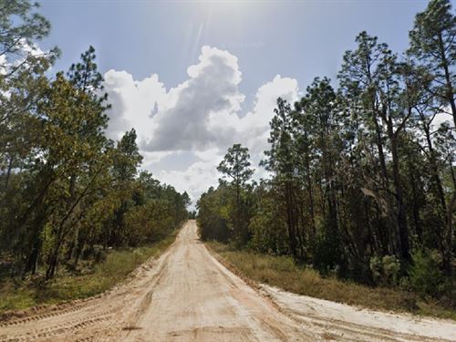 Spring Fresh Deals $49 Down : Interlachen : Putnam County : Florida