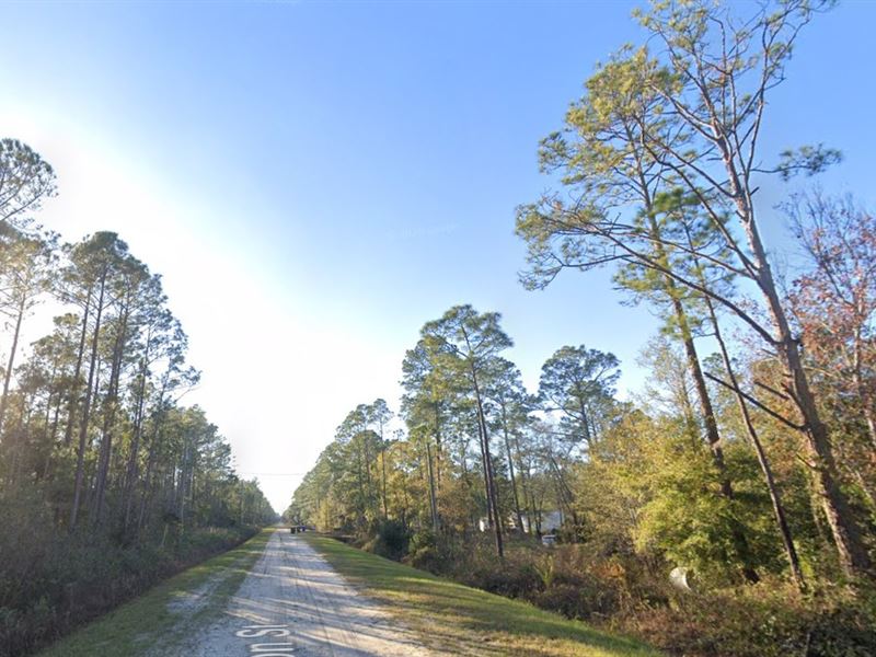 Spring Savings Start Here $99 Down : Flagler Estates : Flagler County : Florida