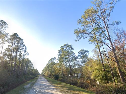 Spring Savings Start Here $99 Down : Flagler Estates : Flagler County : Florida
